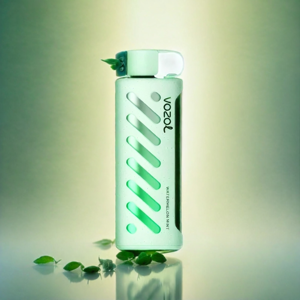 Vozol Gear Shisha 25000 Puffs France Grosiste - 30 Saveurs Délicieus, Double Mesh Modes, 1000mAh, Pastèque Menthe (pastèque menthe)