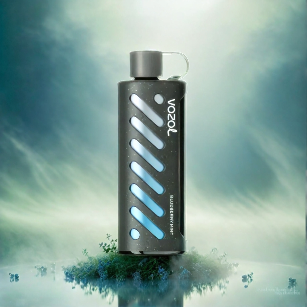 Vozol Gear Shisha 25000 Puffs France Grosiste - 30 Saveurs Délicieus, Double Mesh Modes, batterie 1000mAh, Menthe Bleuet (Blueberry Mint)