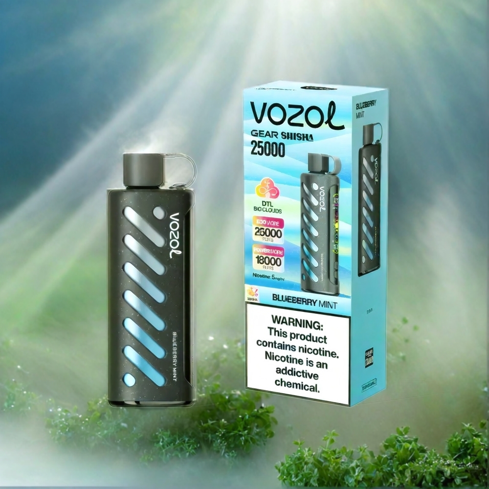 Vozol Gear Shisha 25000 Puffs France Grosiste - 30 Saveurs Délicieus, Double Mesh Modes, batterie 1000mAh, Menthe Bleuet (Blueberry Mint)