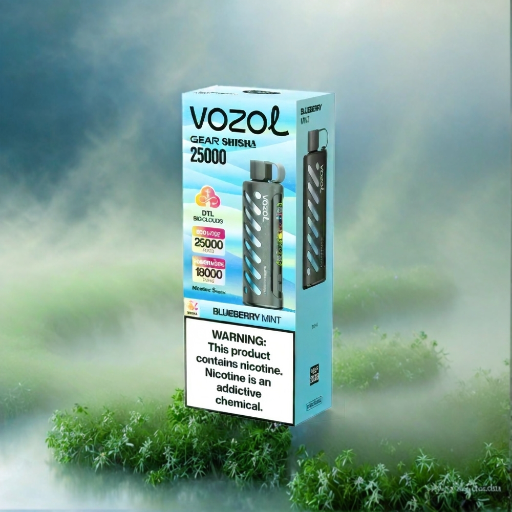 Vozol Gear Shisha 25000 Puffs France Grosiste - 30 Saveurs Délicieus, Double Mesh Modes, batterie 1000mAh, Menthe Bleuet (Blueberry Mint)