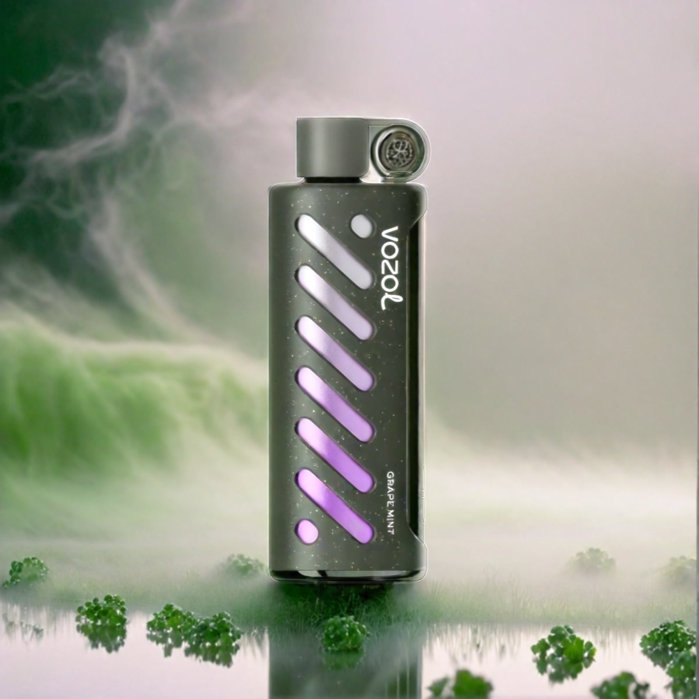 Vozol Gear Shisha 25000 Puffs - France Grosiste - 30 sauvegardes Délicieus, Double Mesh Double Modes, S.I.L.C Tech, 1000mAh - Vape Menthe Raisin