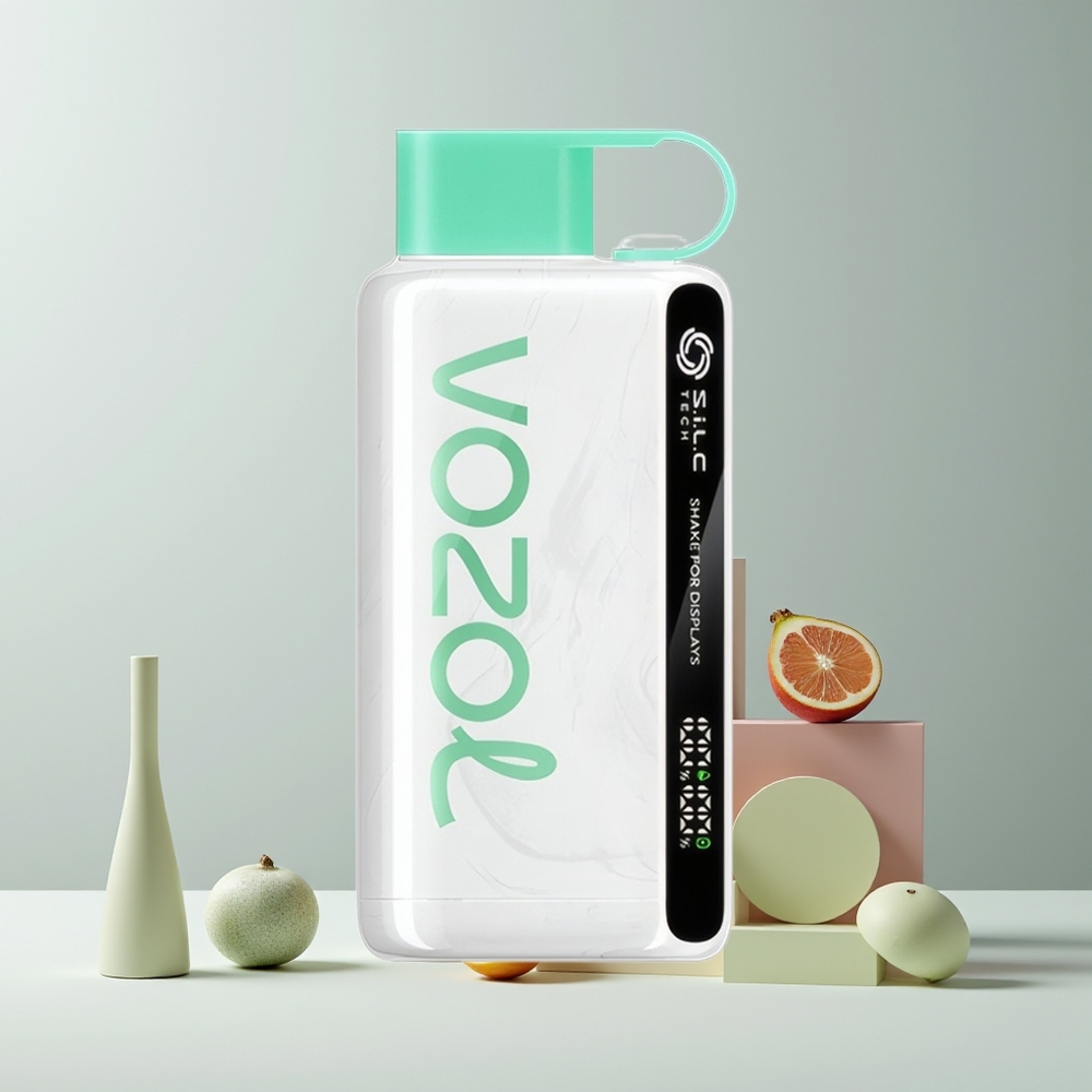 VOZOL STAR 9000/12000 Vape Jetable France Grossiste - Menthe Fraîche, Charge Rapide 30%, Batterie 650mAh, Recyclé