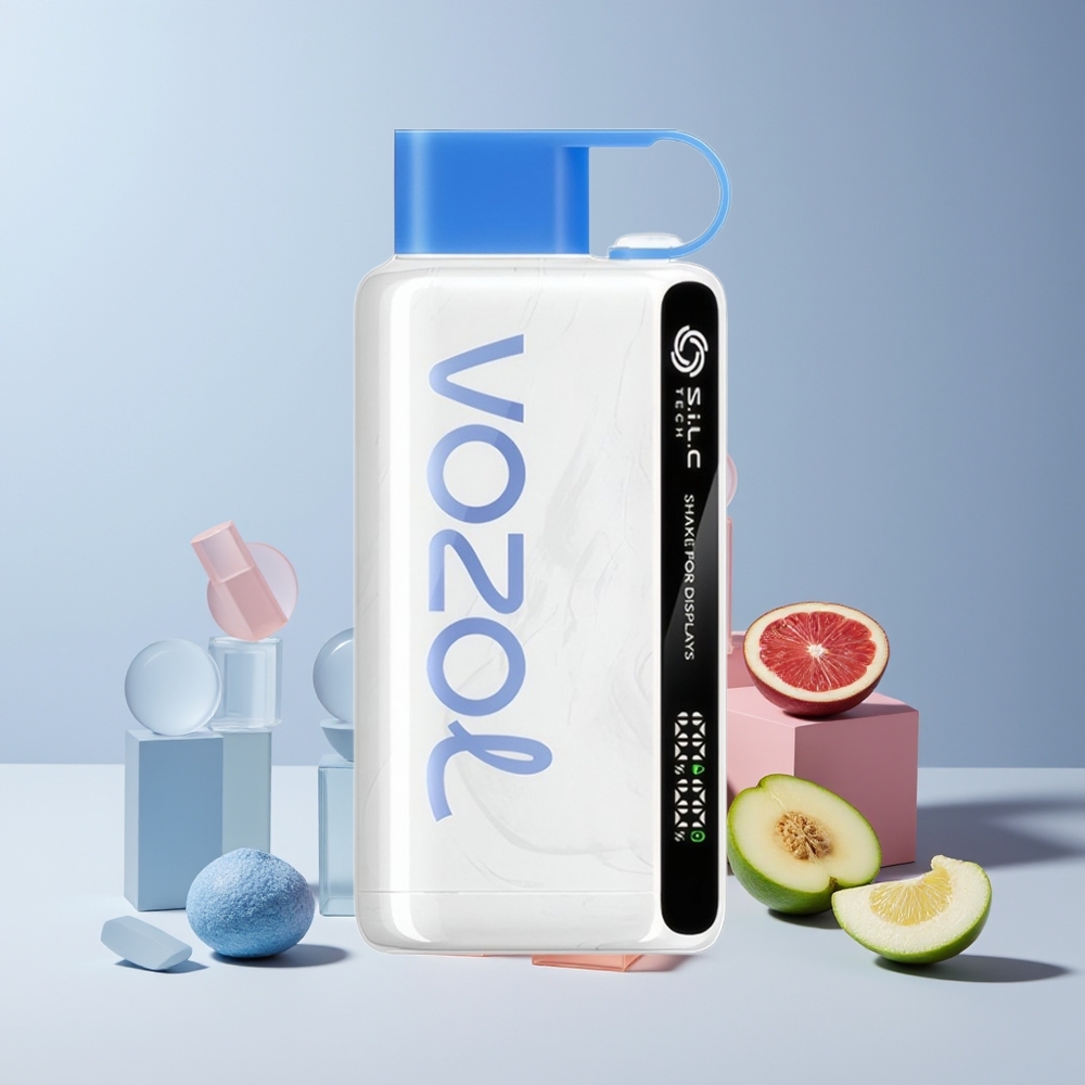 VOZOL STAR 9000/12000 Vape Jetable France Grossiste - Technologie S.i.L.C, Charge Rapide 30%, 650mAh, Recyclé, Bleu Framboise Glacée