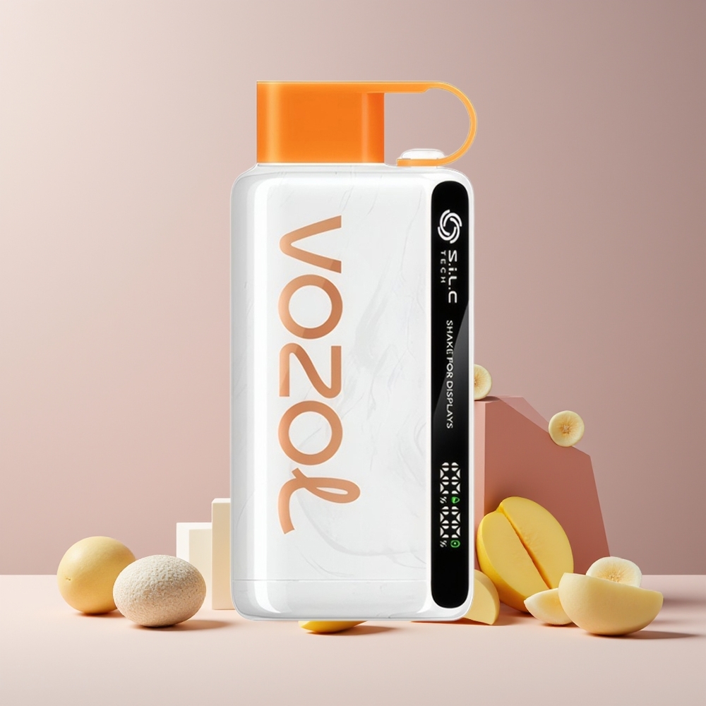 VOZOL STAR 9000/12000 Vape Jetable France Grossiste avec Affichage par Secousse, Technologie S.i.L.C, Charge 30% Plus Rapide et Mangue Glacée Mexicaine