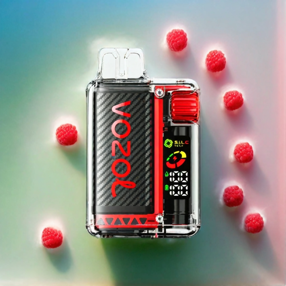 Vozol Vista 20000 Puffs France Grosiste Avec Batterie Rechargeable 650mAh et Écran Oled - Framboise Pastèque