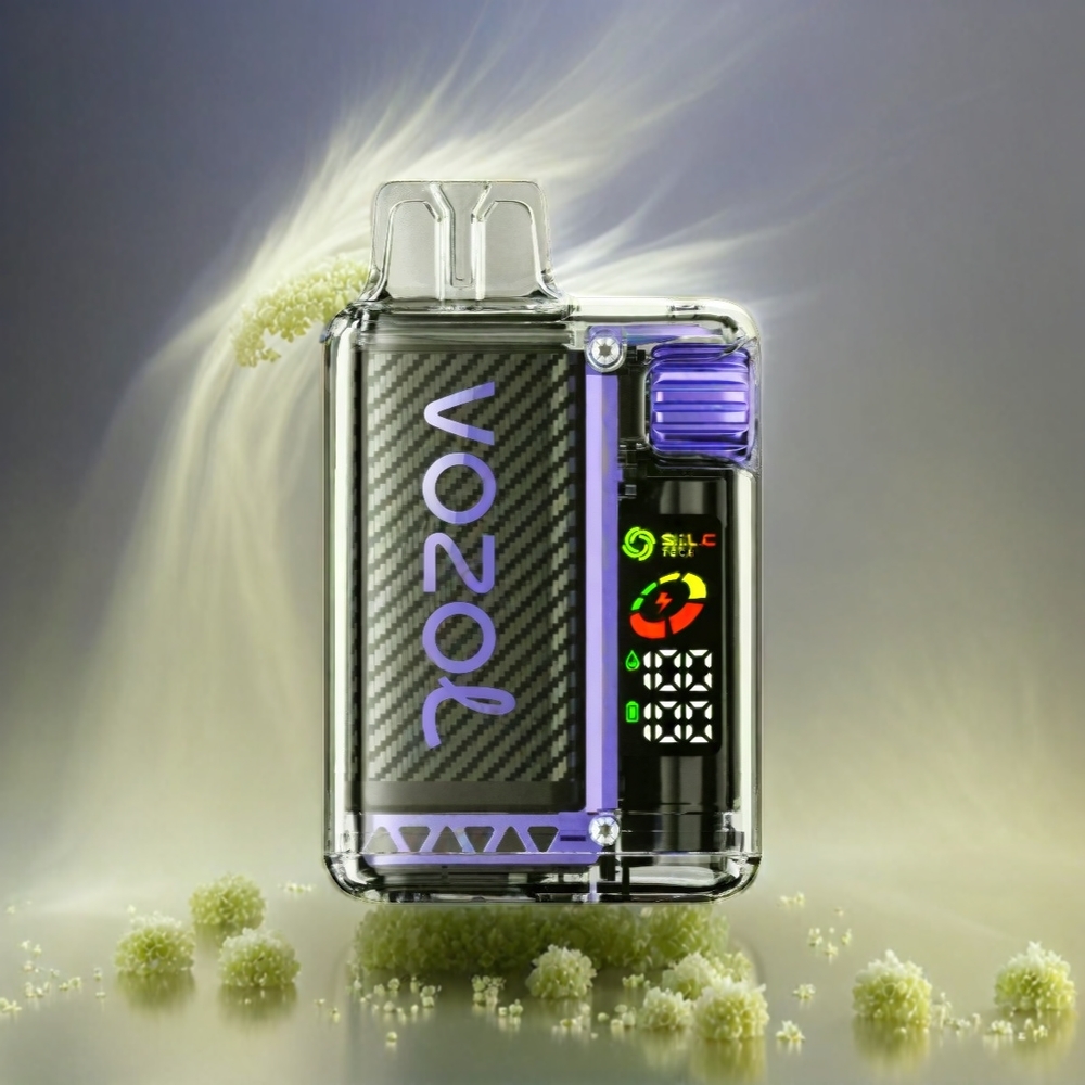 Vozol Vista 20000 Puffs France Grosiste - Écran Oled, 650mAh, 2% de nicotine, Airelle Pamplemousse