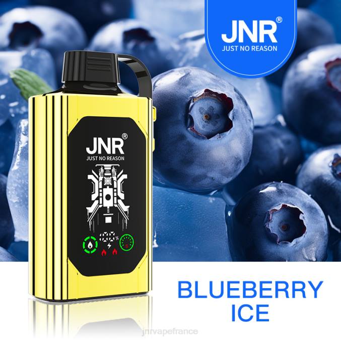 JNR Vape France - JNR SHISHA boîte glace aux myrtilles 8BB475