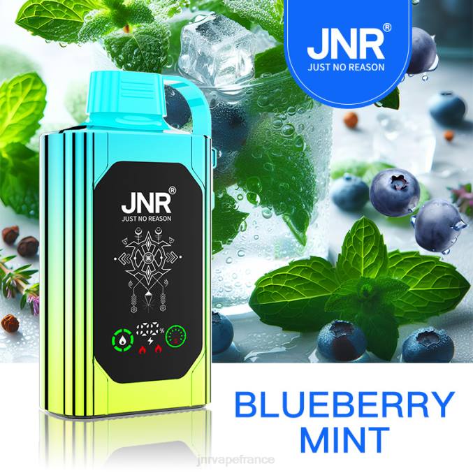 JNR Vape Nicotine - JNR SHISHA boîte menthe myrtille 8BB488