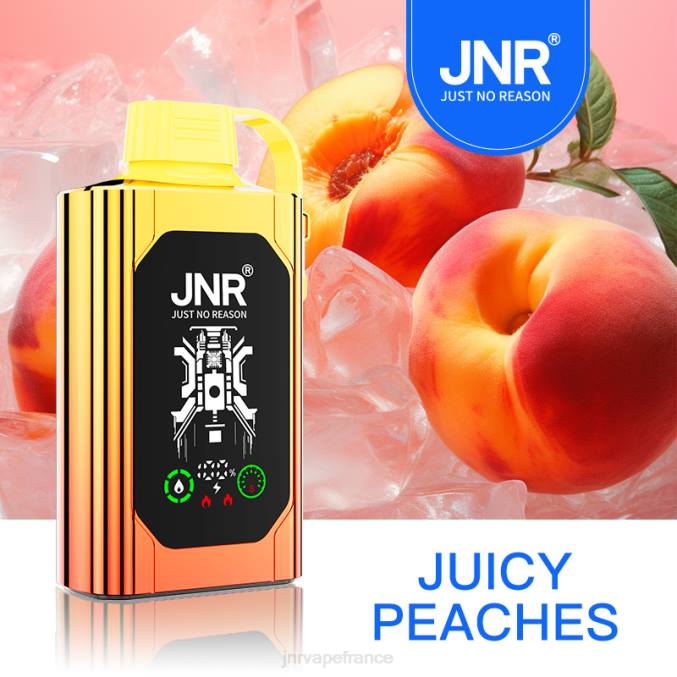 JNR Vape Prix - JNR SHISHA boîte pêches juteuses 8BB484