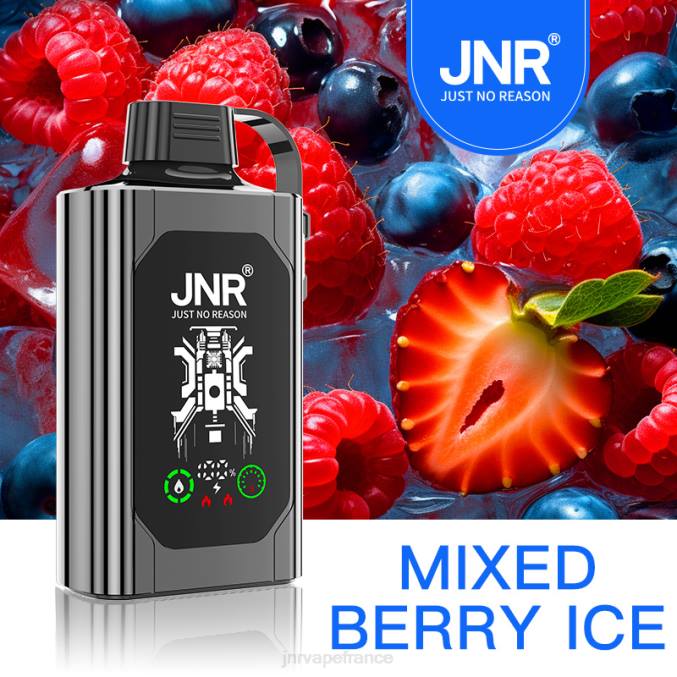 JNR Vapes Factory - JNR SHISHA boîte glace aux fruits mélangés 8BB478