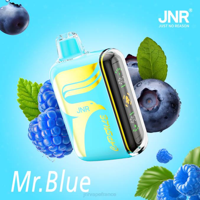 JNR Vape France - JNR capsule monsieur bleu 8BB464