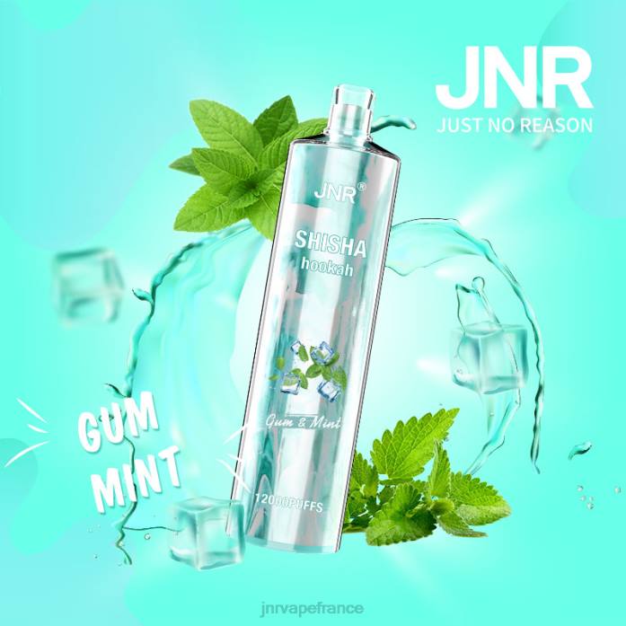 JNR Vape Paris - gomme et menthe chicha junior 0F2Z164