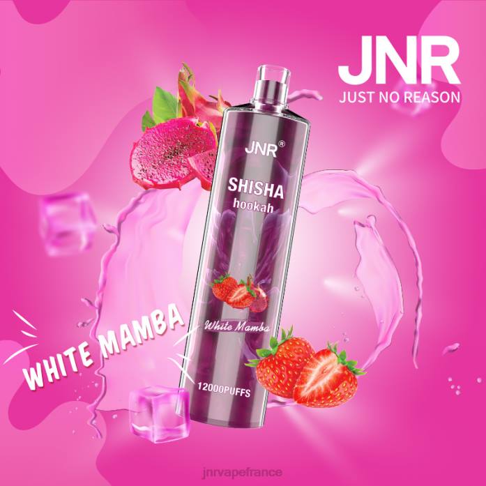 JNR Vape Review - mamba blanc chicha junior 0F2Z182
