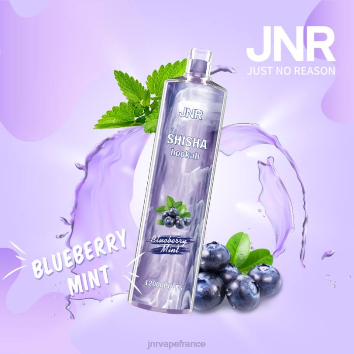 JNR Vape Review - menthe myrtille chicha junior 0F2Z172