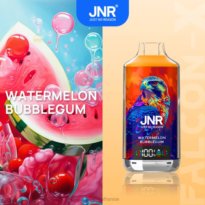 JNR Vape Nicotine Content - JNR FALCON X chewing-gum à la pastèque P6V211