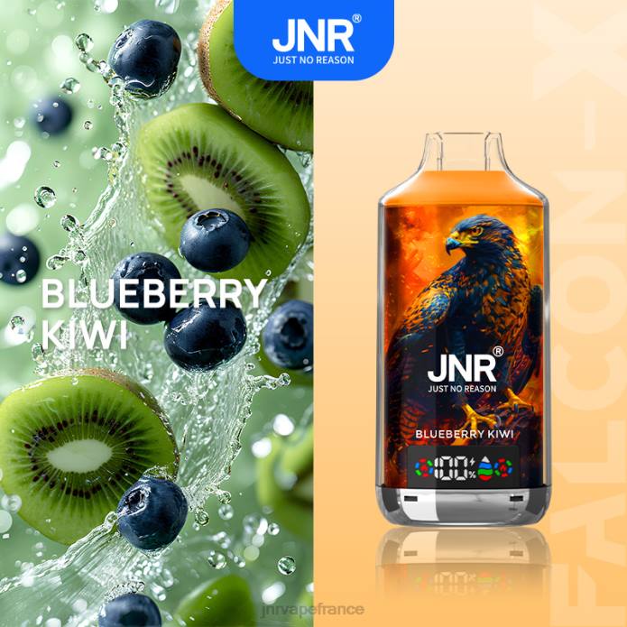 JNR Vapes Website - JNR FALCON X kiwi aux bleuets P6V219