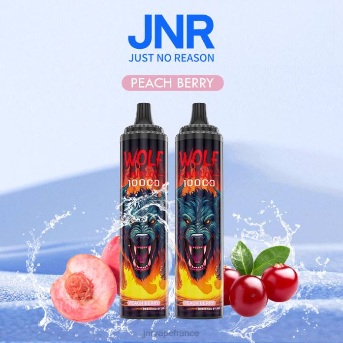 JNR Vape Pods - baie de pêche jnr loup niplo 0F2Z350