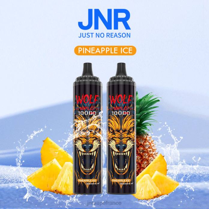 JNR Vape Shop - glace à l'ananas jnr loup niplo 0F2Z347