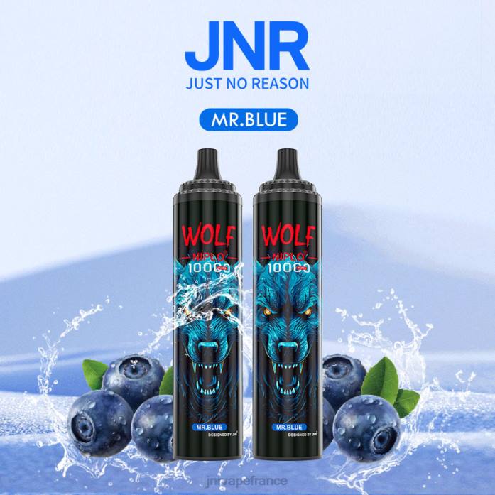JNR Vapes Factory - monsieur bleu jnr loup niplo 0F2Z346