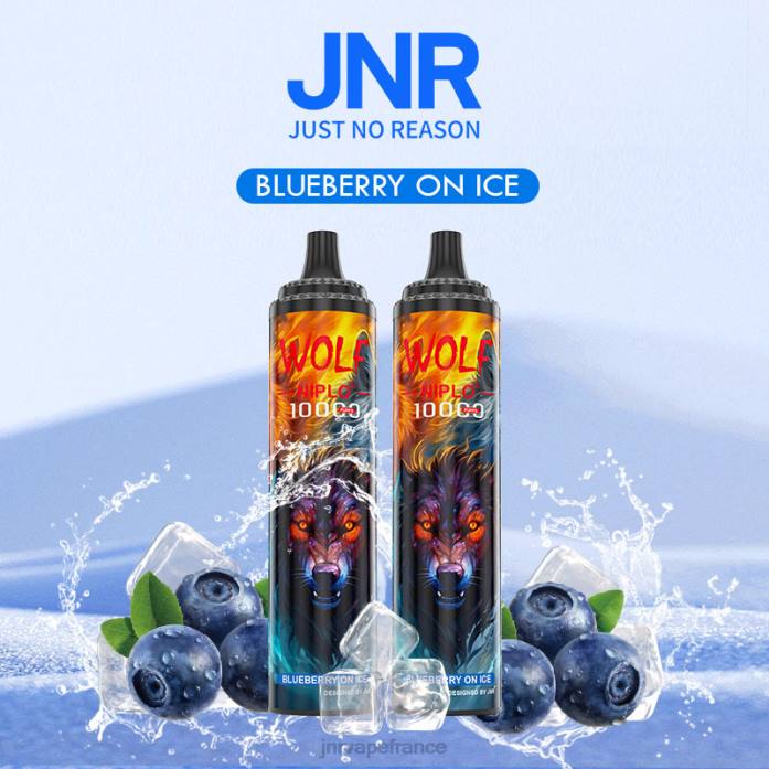 JNR Vapes Website - myrtille sur glace jnr loup niplo 0F2Z358